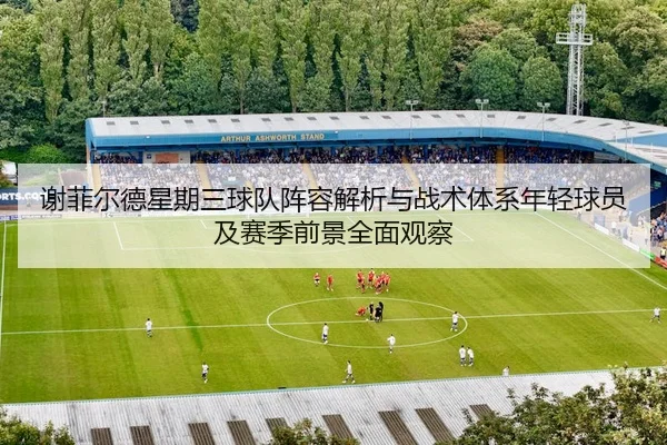 谢菲尔德星期三球队阵容解析与战术体系年轻球员及赛季前景全面观察