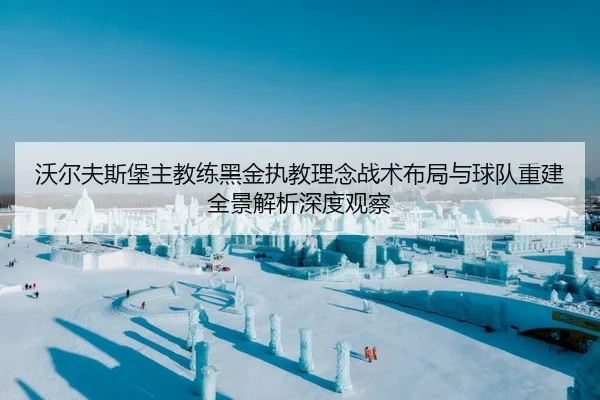 沃尔夫斯堡主教练黑金执教理念战术布局与球队重建全景解析深度观察