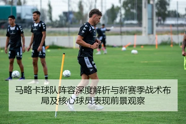 马略卡球队阵容深度解析与新赛季战术布局及核心球员表现前景观察